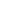 bot icon